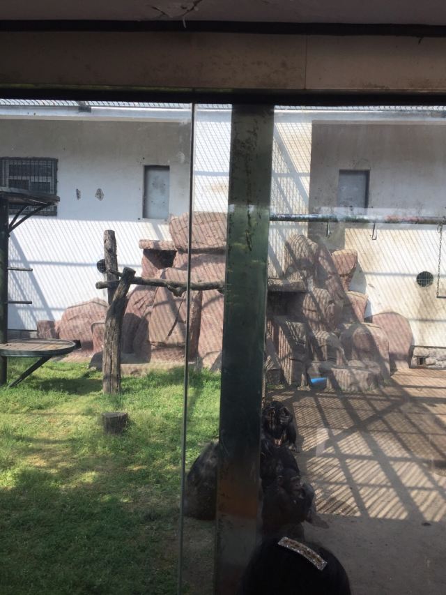 칭다오(청도) 동물원