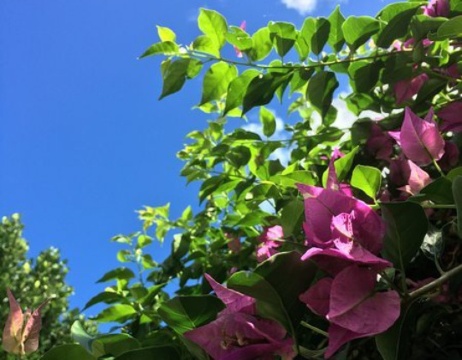 Nakijin Soba餐厅图片