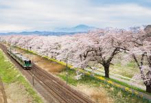 静冈县旅游图片-初次打卡必体验，日本全景7日游