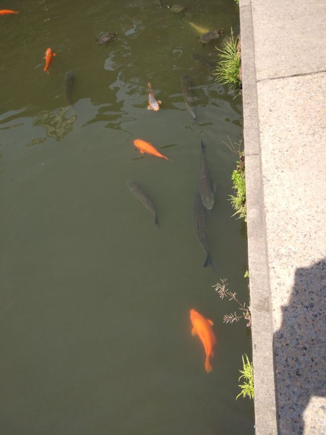 Yu Garden