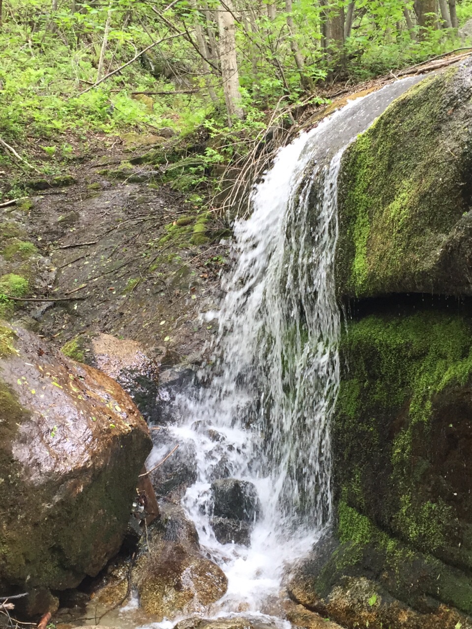 青山沟一日游