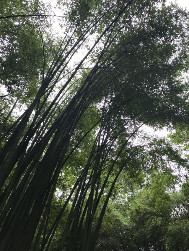 충라이주시 호수