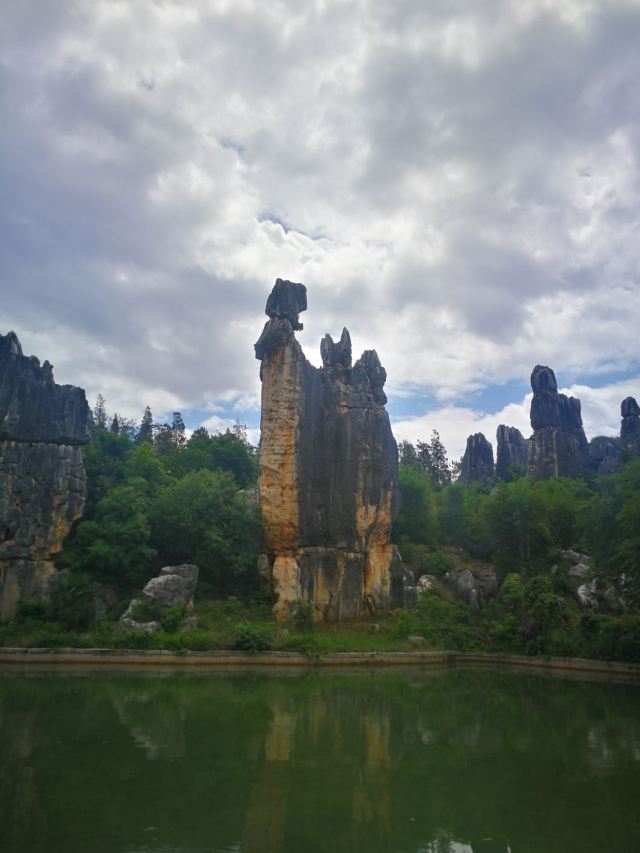 Stone Forest