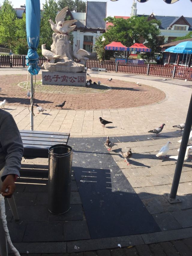 Pigeon Nest Park
