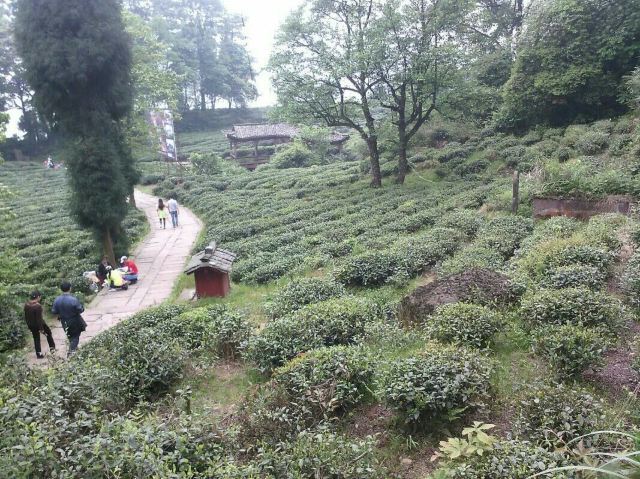 몽정산