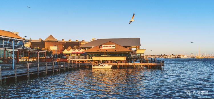 Fremantle Travel Guide Popular Attractions In Fremantle Tripcom