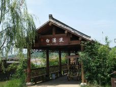 杏花村风景区-池州-VVV彼岸花VVV