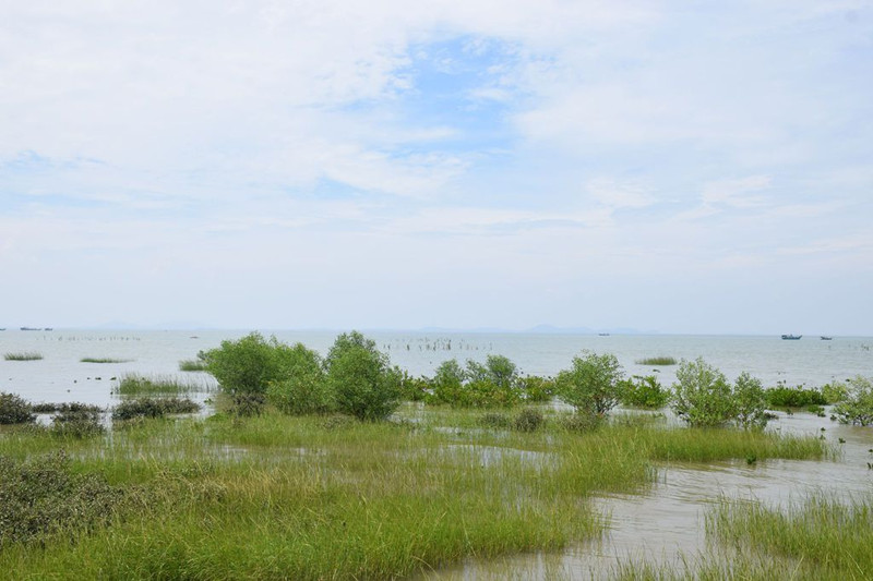 海陵岛国家红树林湿地公园位于岛东北面的神前湾.沿着导航规划的路线