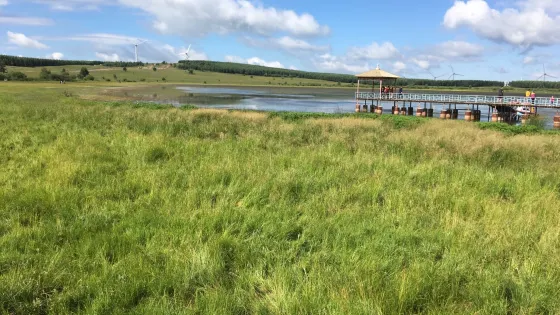 御道口牧場月亮湖風景區-百花坡