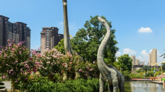 Dinosaur Land Dino Water Town
