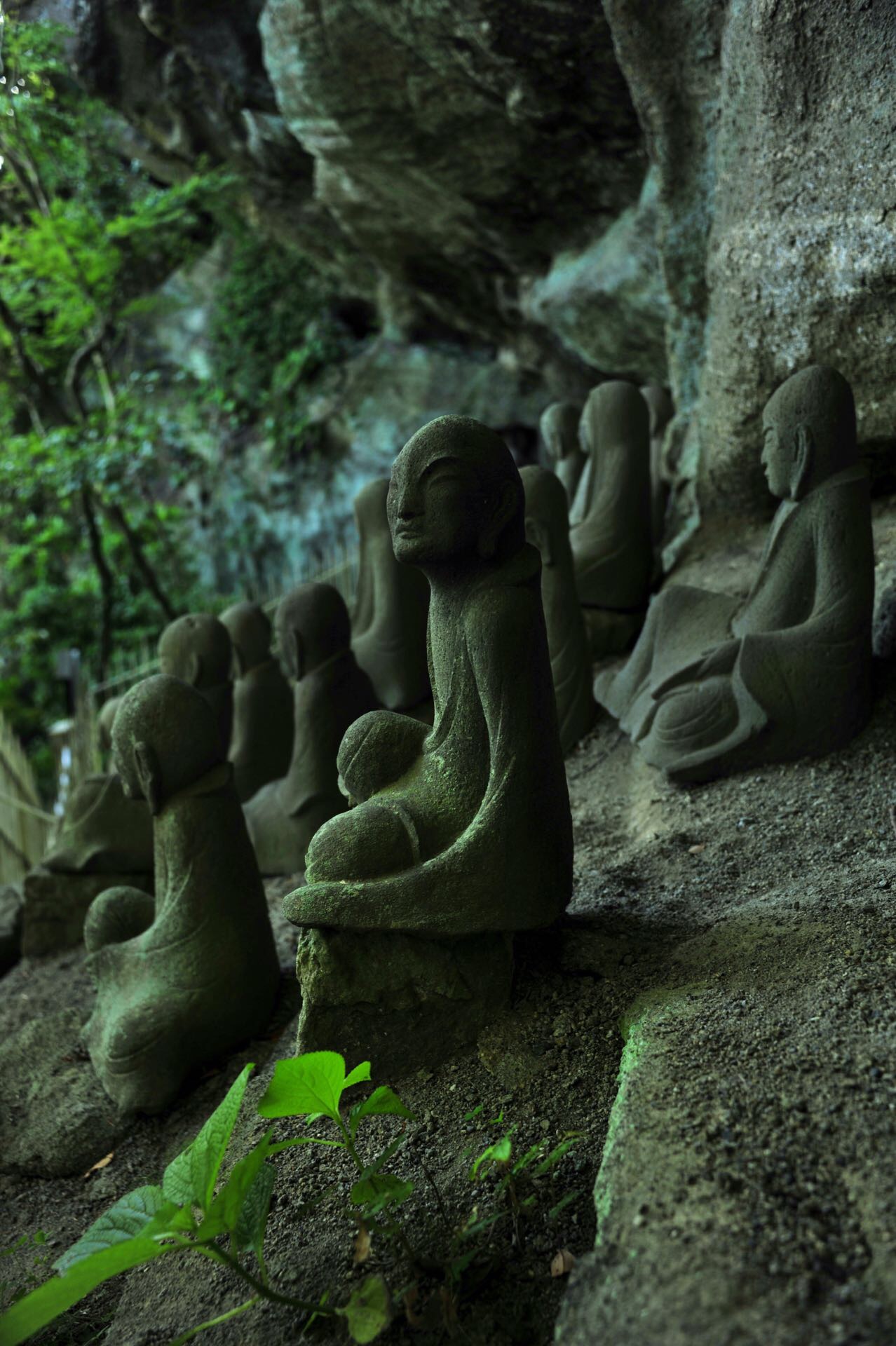 锯山日本寺：在这里品味日本佛教历史的断裂与延续！