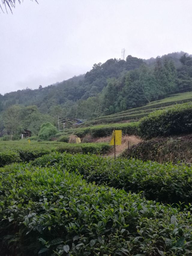 몽정산