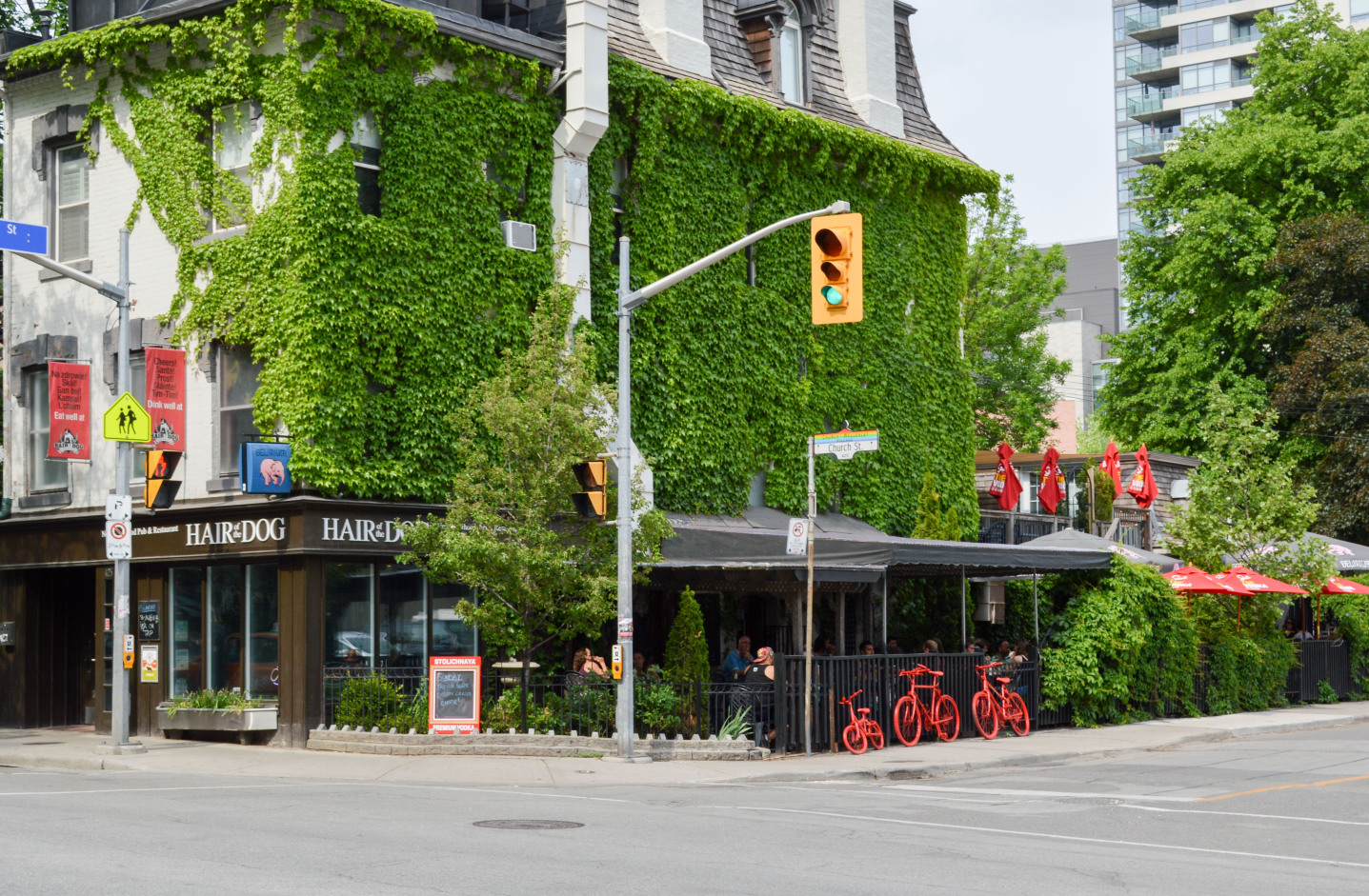 Hair of the Dog Pub Toronto