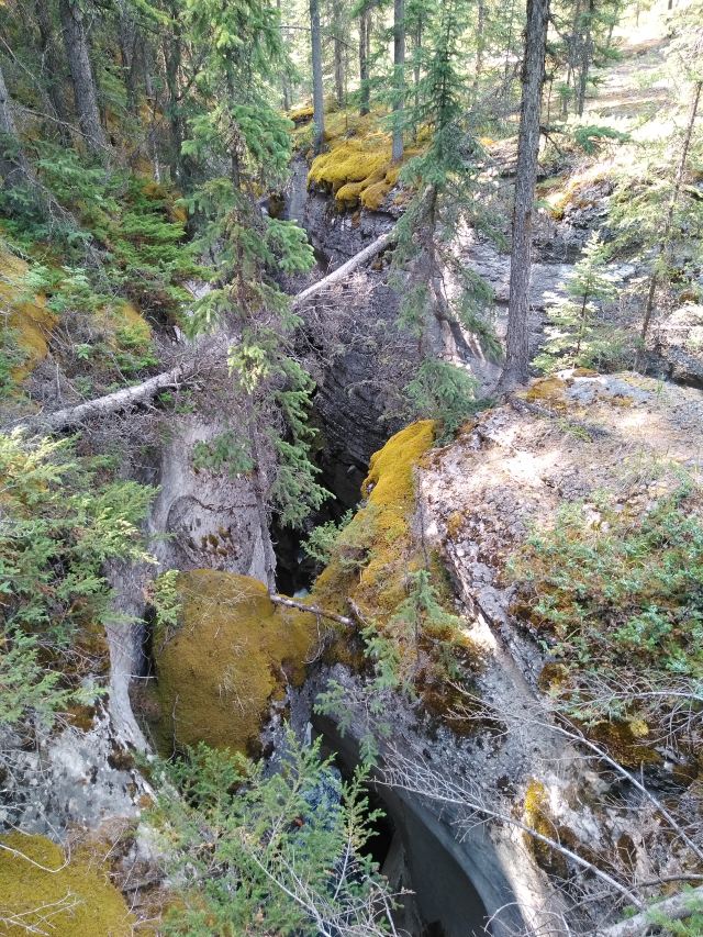 Maligne Canyon