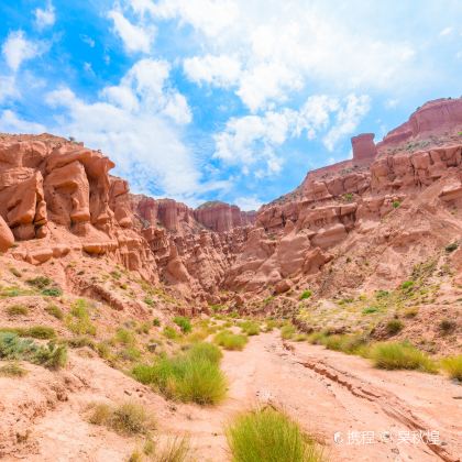 青海湖景区+茶卡盐湖+塔尔寺+贵德国家地质公园阿什贡七彩峰丛景区5日4晚私家团