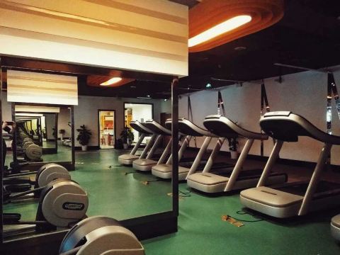 Gallery 4