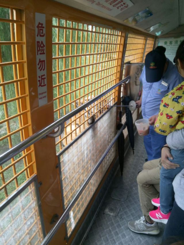 상하이 야생 동물원