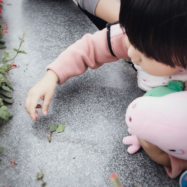 매원