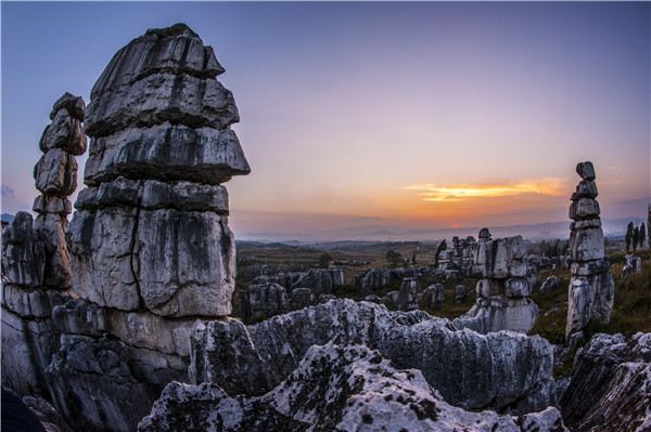 Stone Forest