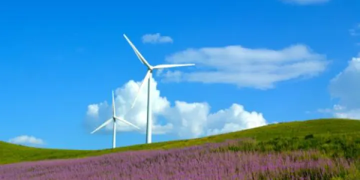 灰騰希勒天然植物園