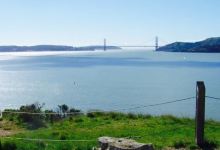 Angel Island Company美食图片