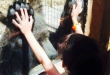 Wildlife Park Malta Restaurant景点图片