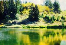 Ivan's Restaurant美食图片