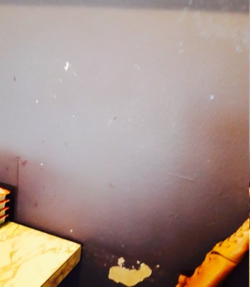 Theo's Family Restaurant