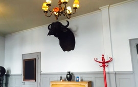 Cafe Brasserie Lux