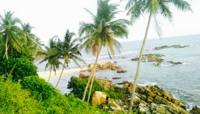 Perfect View Guest Restaurant