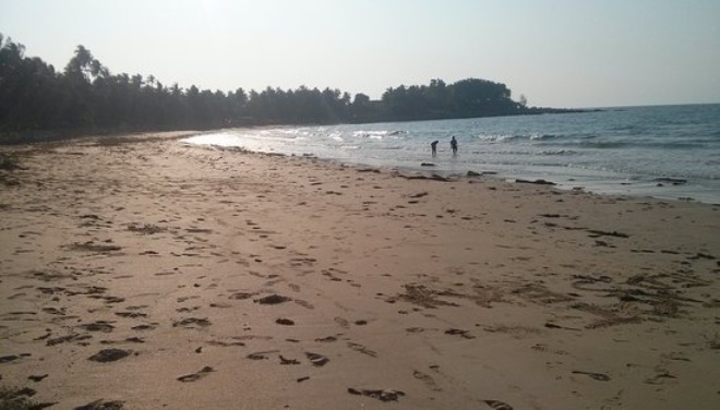 Ocean's Paradise餐厅图片