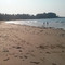 Ocean's Paradise