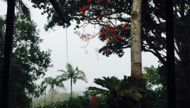 Kuranda Rainforest View Restaurant餐厅图片