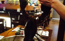 Kumo Asian Bistro餐厅图片