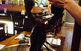Kumo Asian Bistro