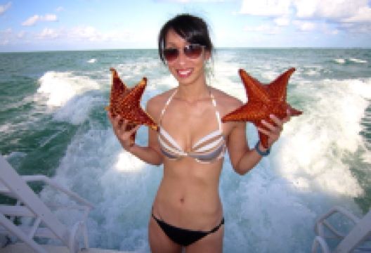 Blue By Eric Ripert美食图片