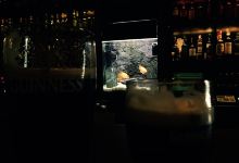 The Irish Harp美食图片