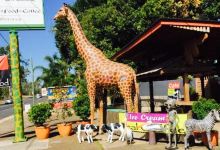 The Big Giraffe美食图片