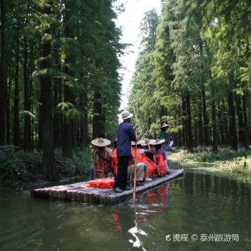 兴化李中水上森林公园+千垛景区一日游【4人轿车团】上门接送