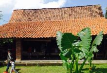 Warung Kopi Klotok美食图片