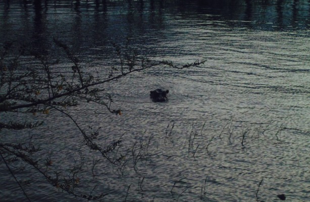 Cercle Nautique De Bujumbura