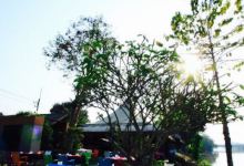 Leelawadee Restaurant Chiangrai美食图片