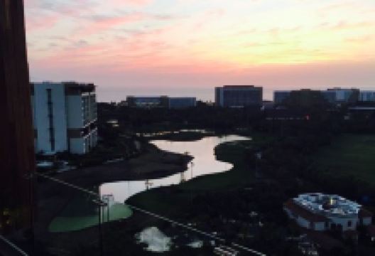 El Quinto Patio美食图片