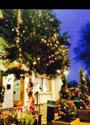 Pizzeria zum grünen Baum lauterach