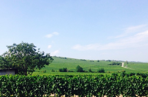 Weinstube Potsdamer Hof