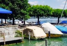 Mönchhof am See美食图片