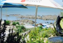 Alegria Restaurant美食图片