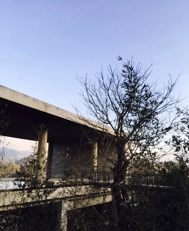 富贵牡丹餐厅餐厅图片