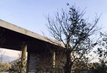 富贵牡丹餐厅美食图片