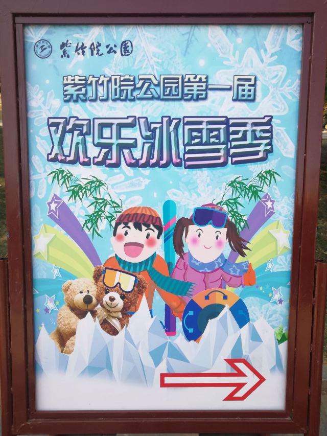 Purple Bamboo Park